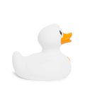 Pluizige Eend