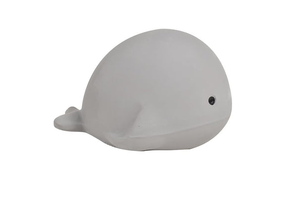 Mijn eerste zeedier: een walvis