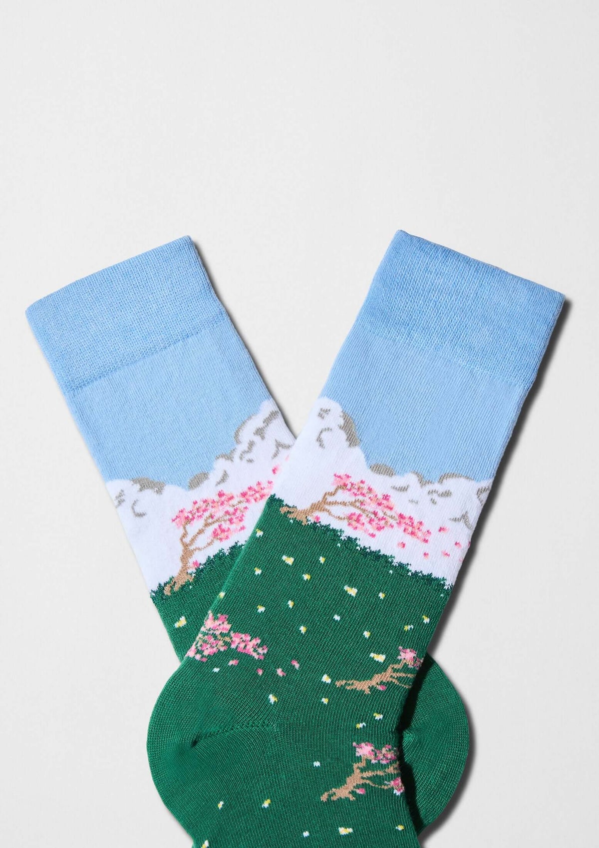 Paisaje japonés con cerezos en flor y montañas - BeJapan Sakura - BESOCKS.