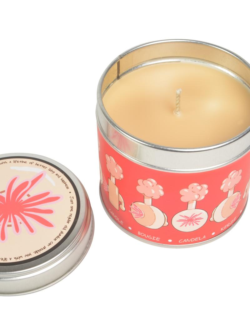 Rick and Morty candle - Plumbus