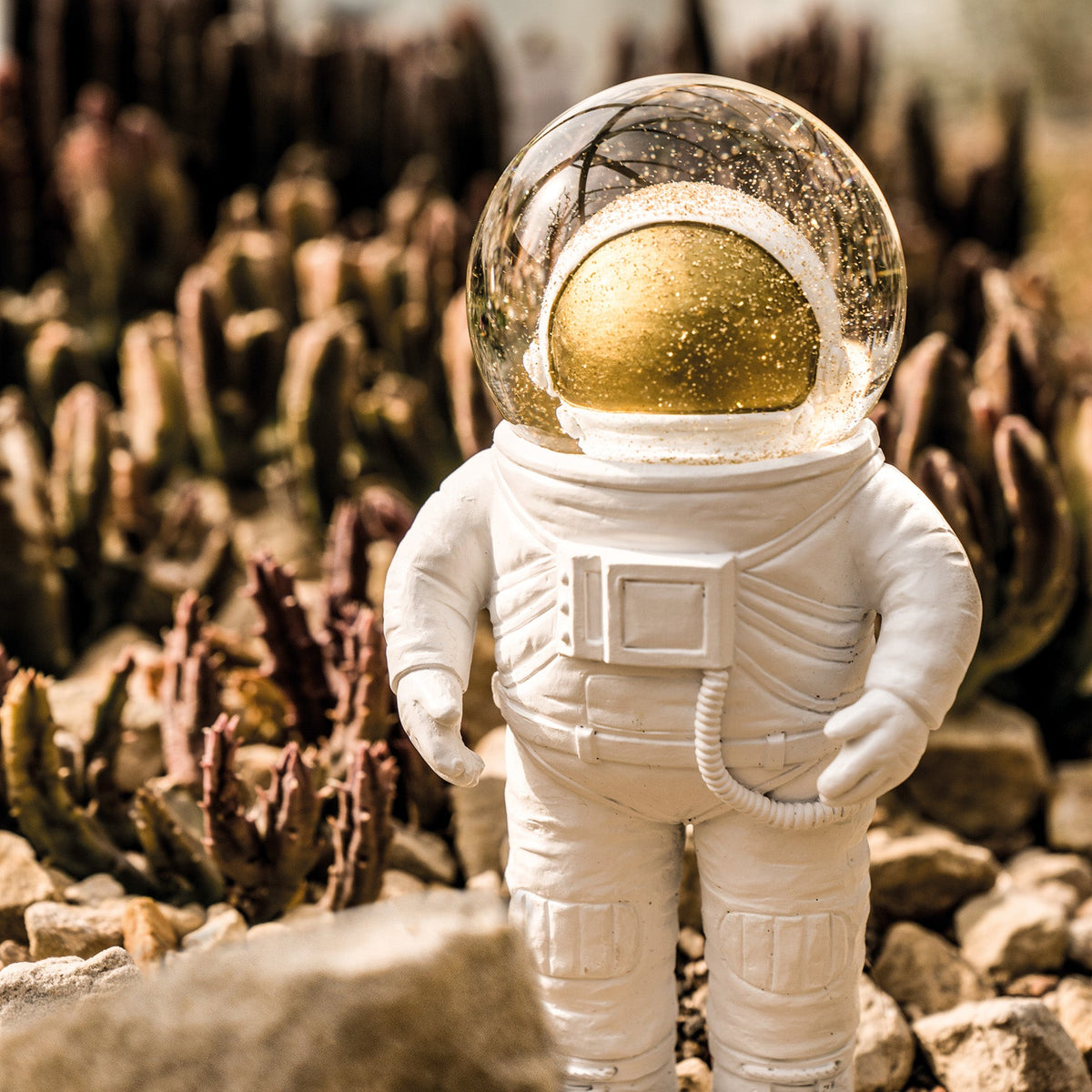 Boule à Neige Astronaute
