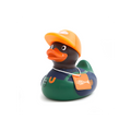 Mini vis-eendje