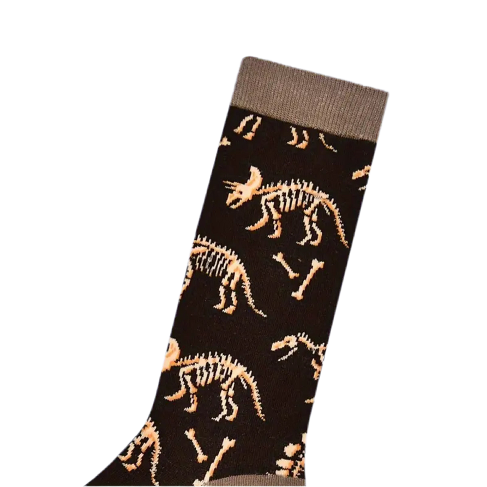 Dinosaurusfossielen sokken