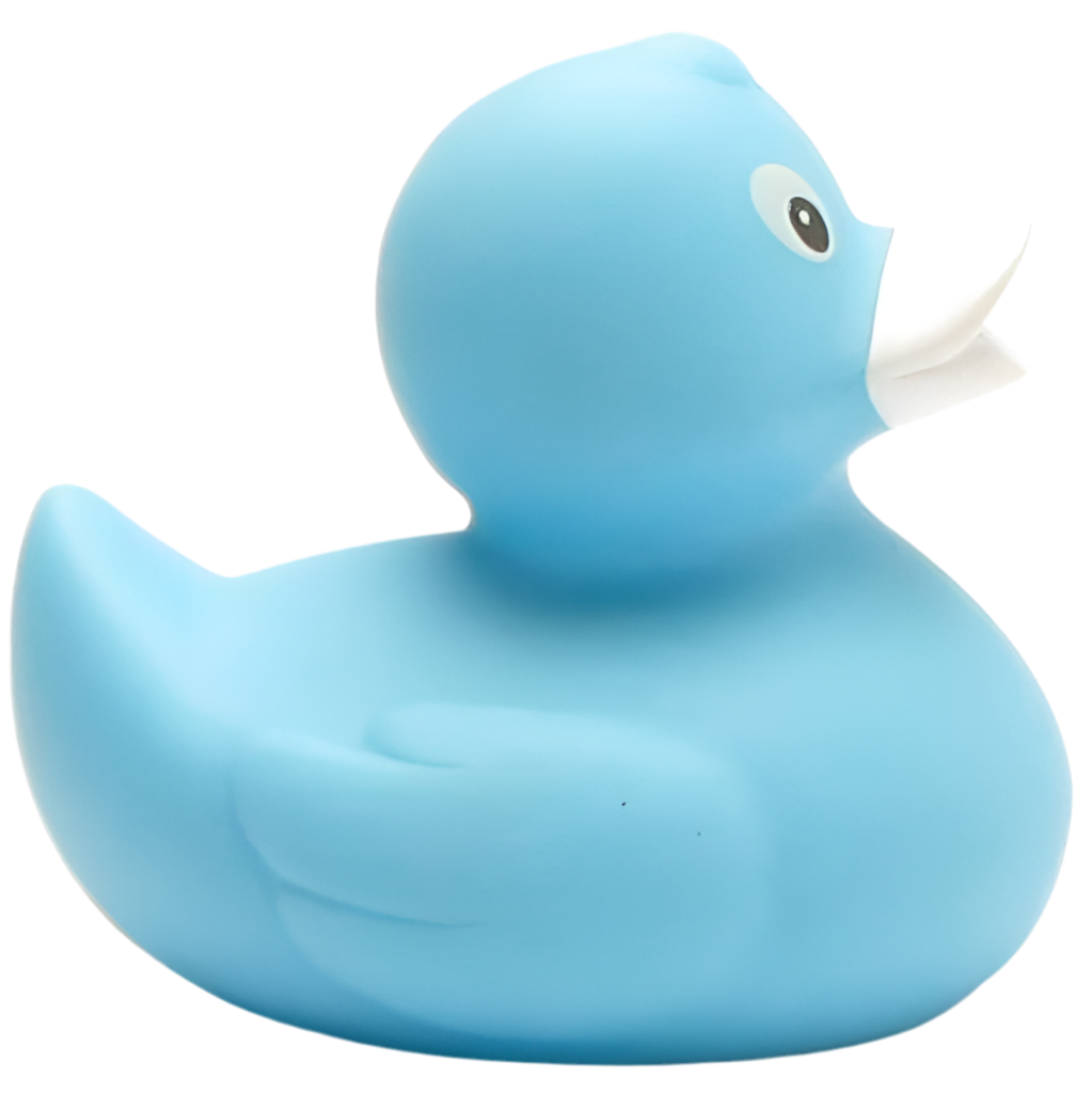 Classic Sky Blue Duck