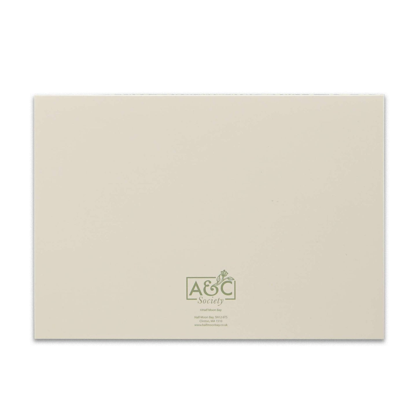Coffret de 12 cartes et enveloppes Rasp / Sage