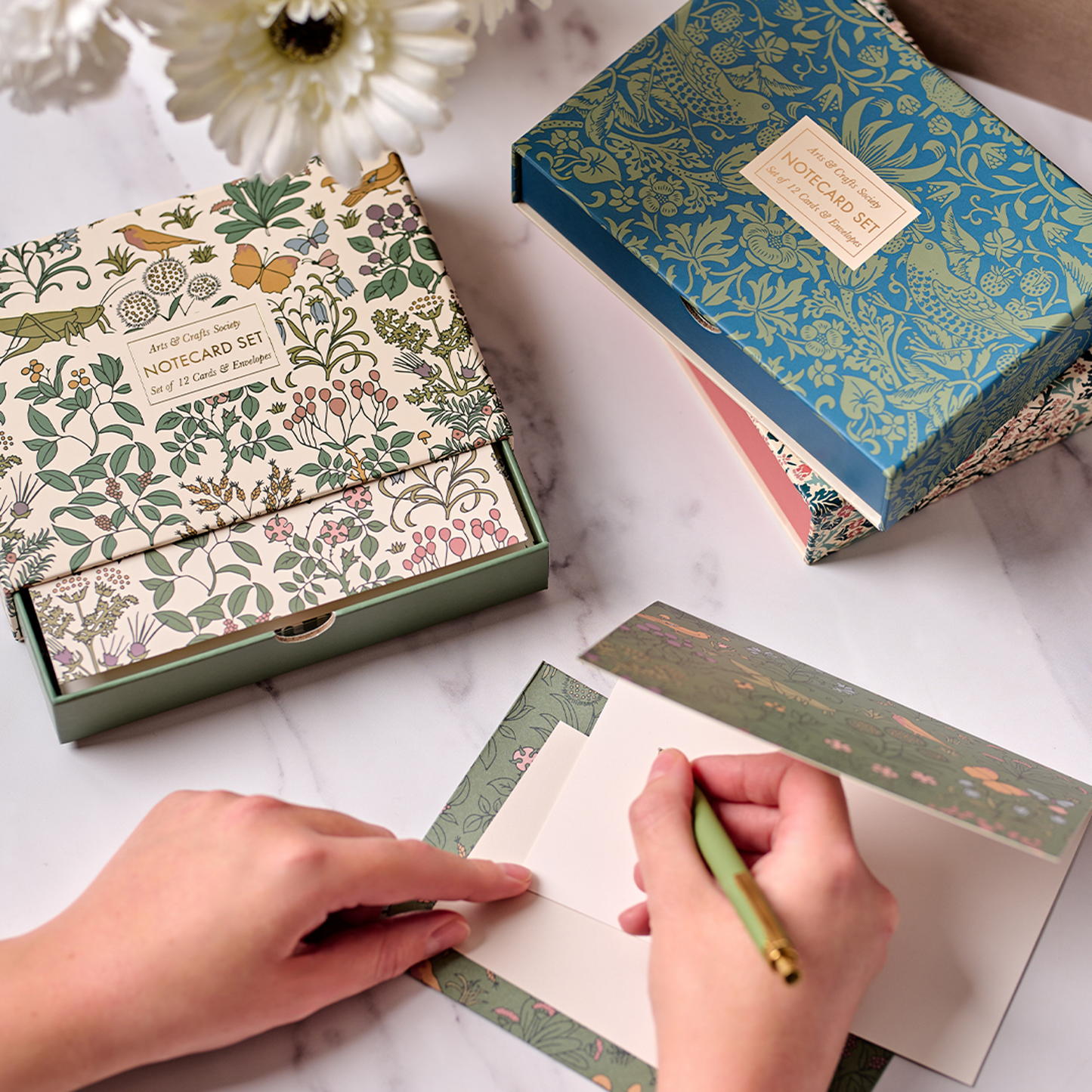 Coffret de 12 cartes et enveloppes Rasp / Sage