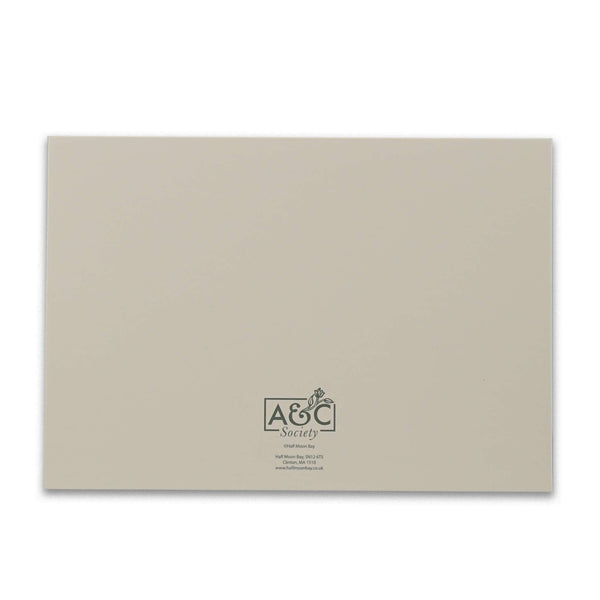Coffret de 12 cartes et enveloppes Apothercary Garden