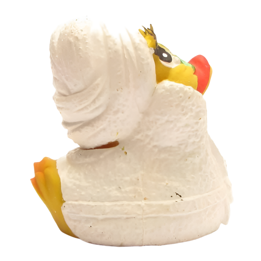 Wellness Duck