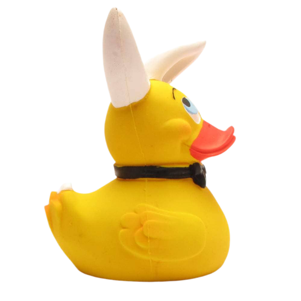 Canard Bunny