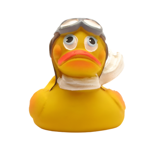 Aviator Duck