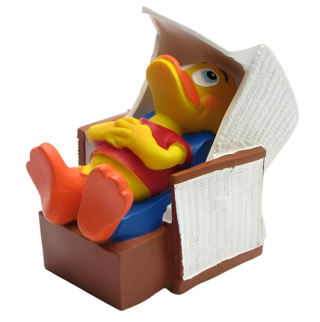Duck Beach Chair