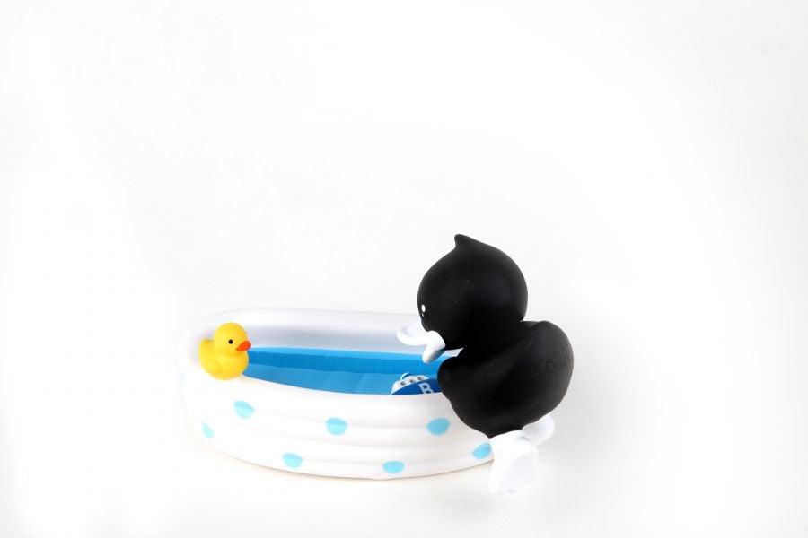 Black duck photo frame