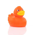Oranje Eend