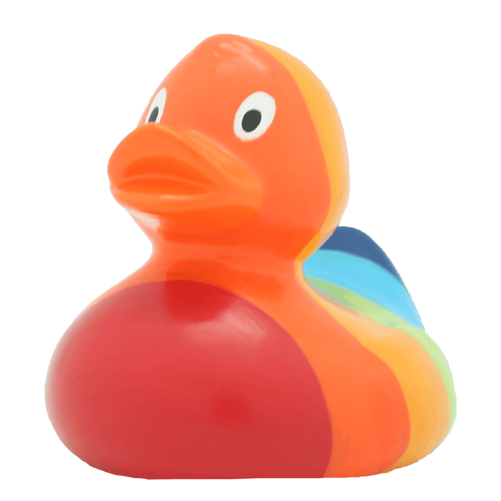 Ente Regenbogen
