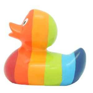 Rainbow duck