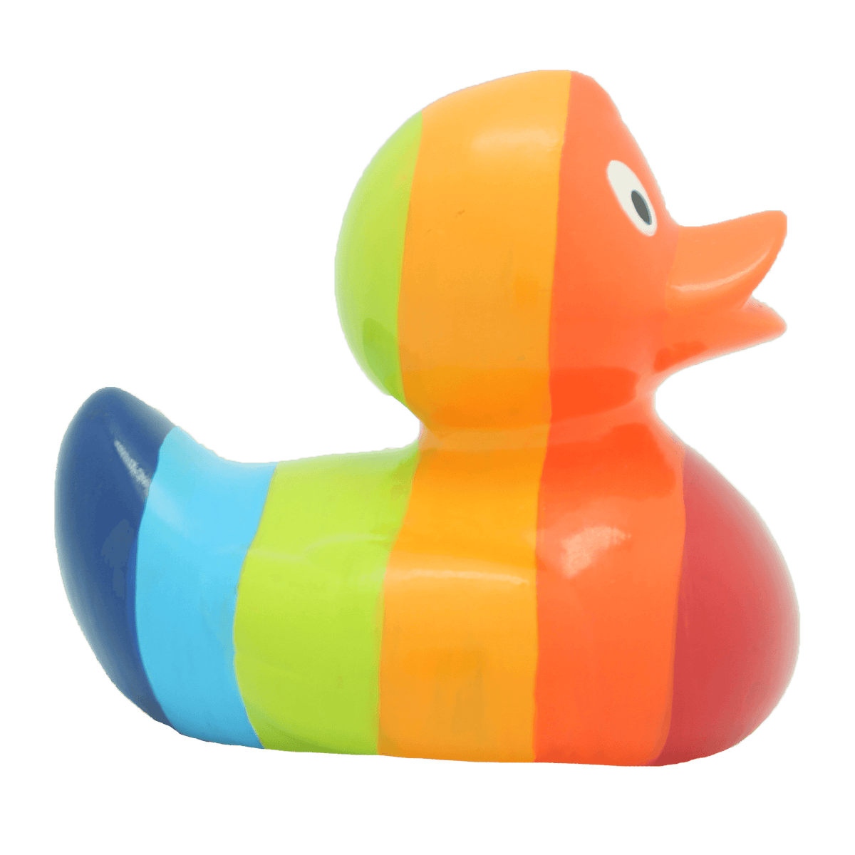 Rainbow duck
