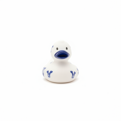 Holland duck