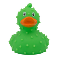 Eendencactus