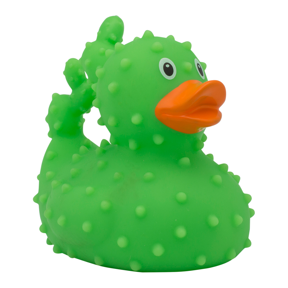 Eendencactus