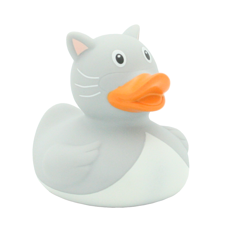 Ente Katze
