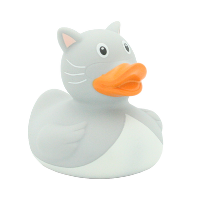 Chat duck