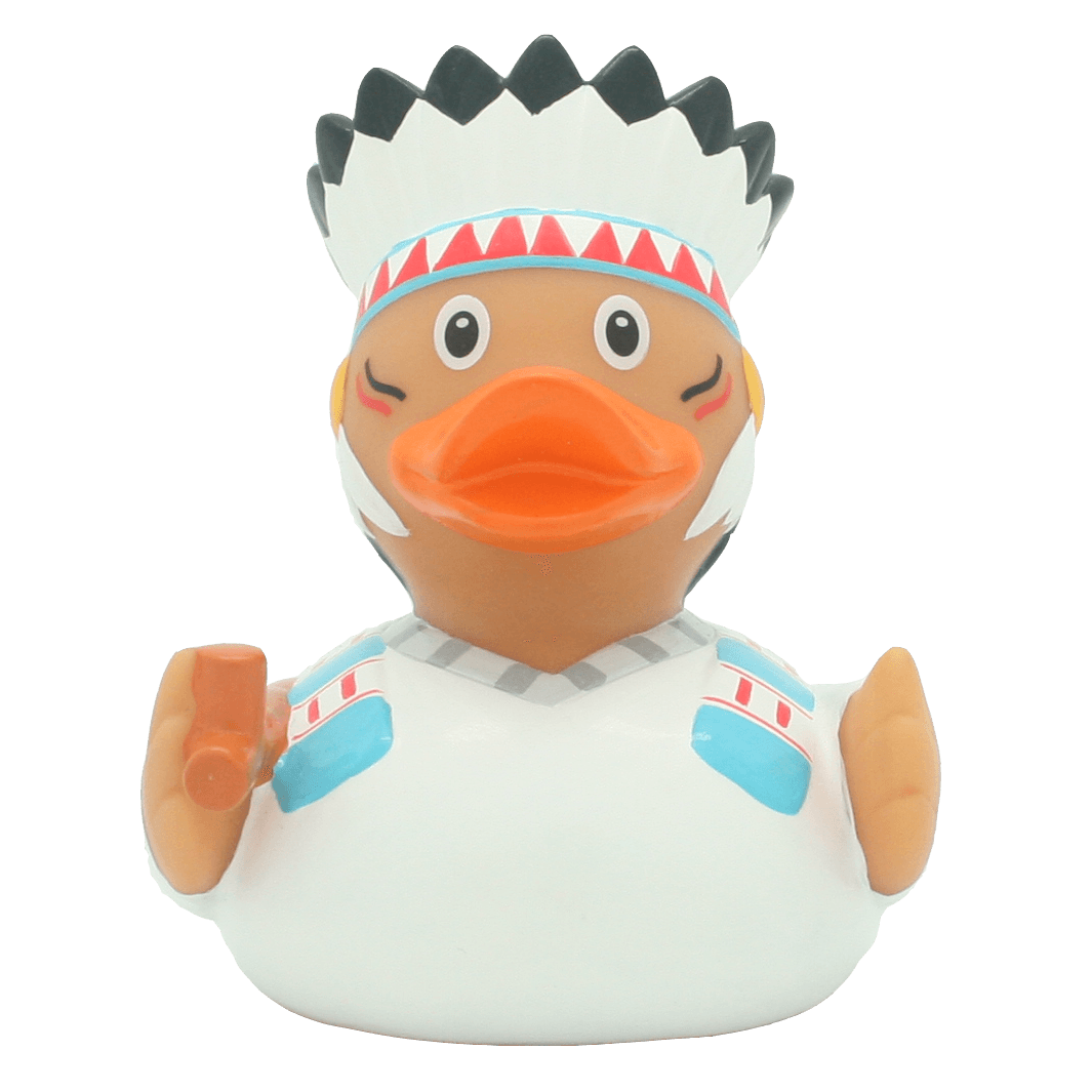 Amerindian duck