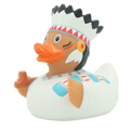Amerindian duck