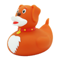 Canard Chien