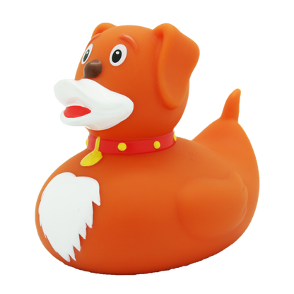 Eend Hond