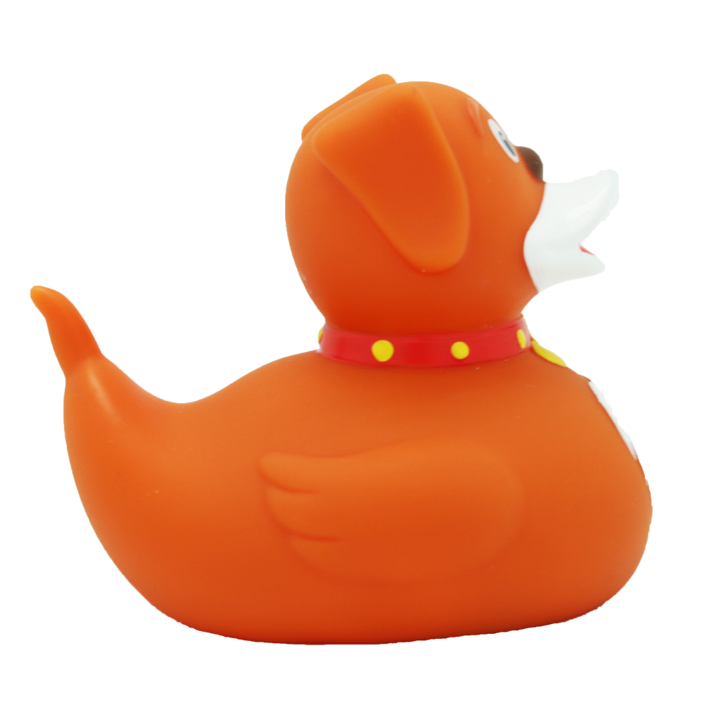 Canard Chien