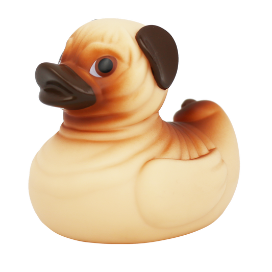 Duck dog