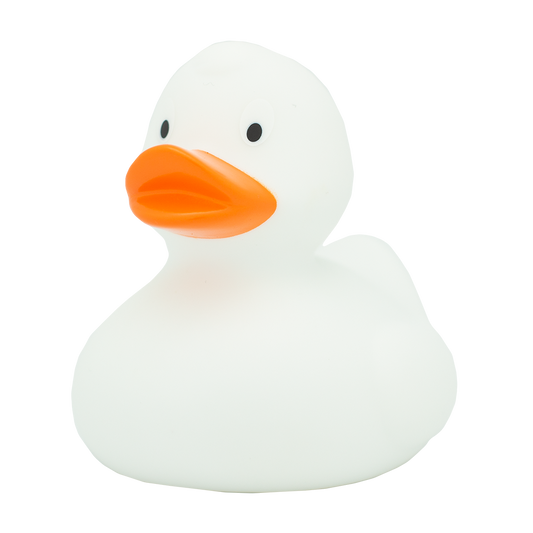 Canard Classique Blanc