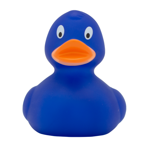 Classic blue duck