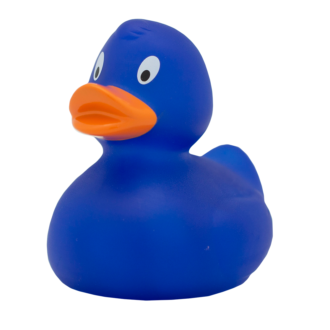 Classic blue duck