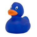 Classic blue duck