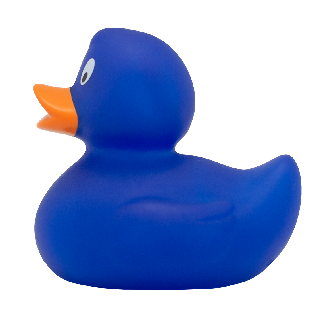 Canard Classique Bleu