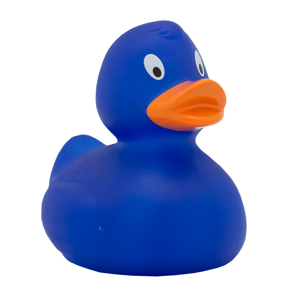Classic blue duck