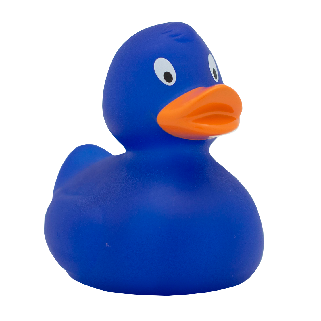 Classic blue duck