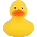 Pack de Ducks Unis – 6 Couleurs