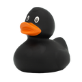 Canard Classique Noir
