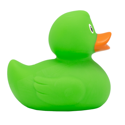 Classic green duck