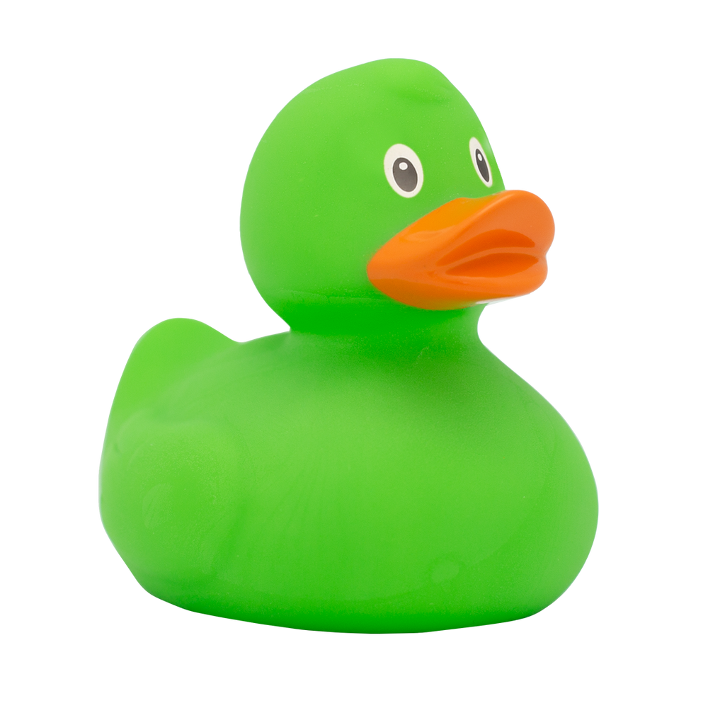 Klassieke groene eend