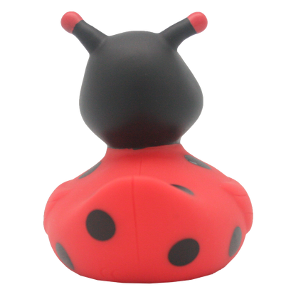 Ladybug