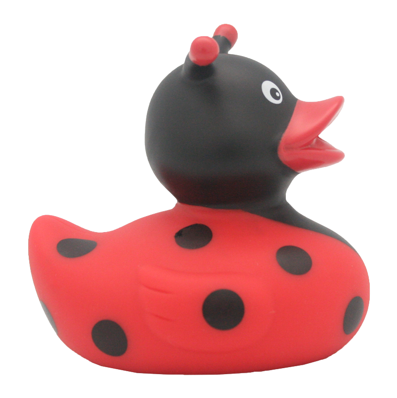 Canard Coccinelle