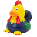 Ente Hahn