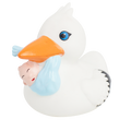 Eend Ooievaar