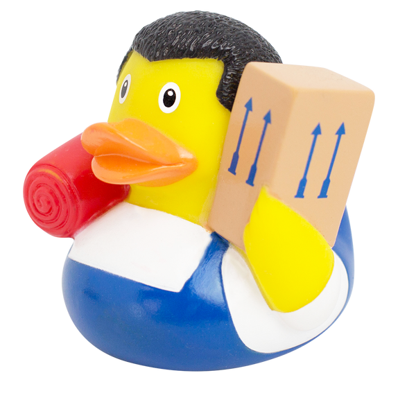 Duck