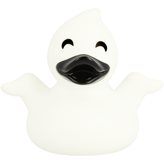 Ghost duck