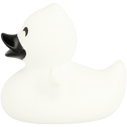 Ghost duck