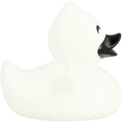 Ghost duck